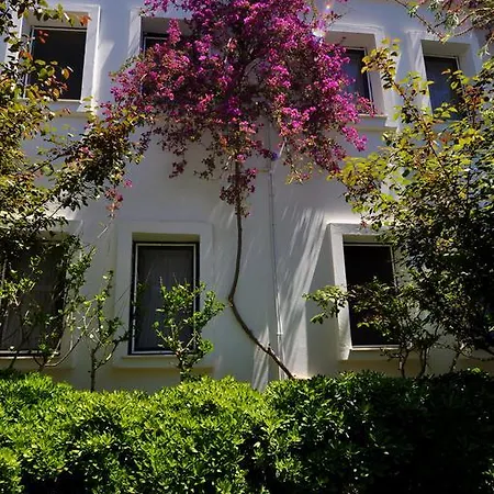Atrium 3* Bodrum
