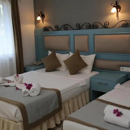 中庭酒店 酒店 3*