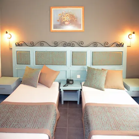 中庭酒店 酒店 3*