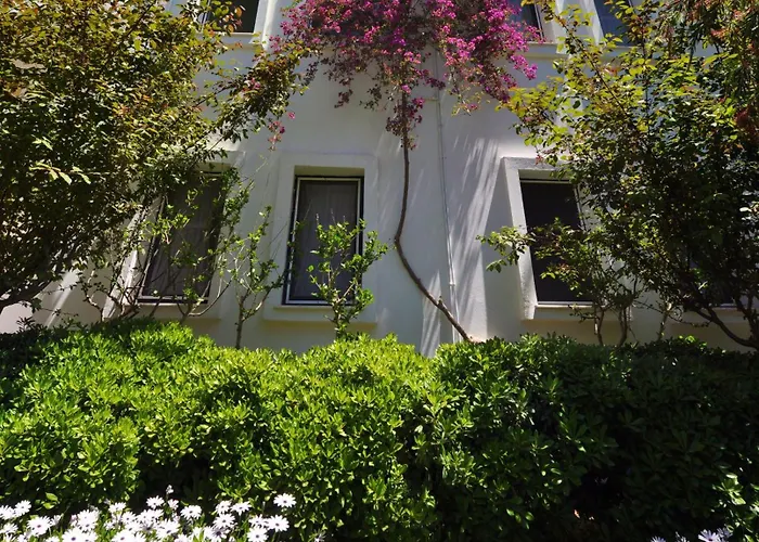 أتريوم فندق